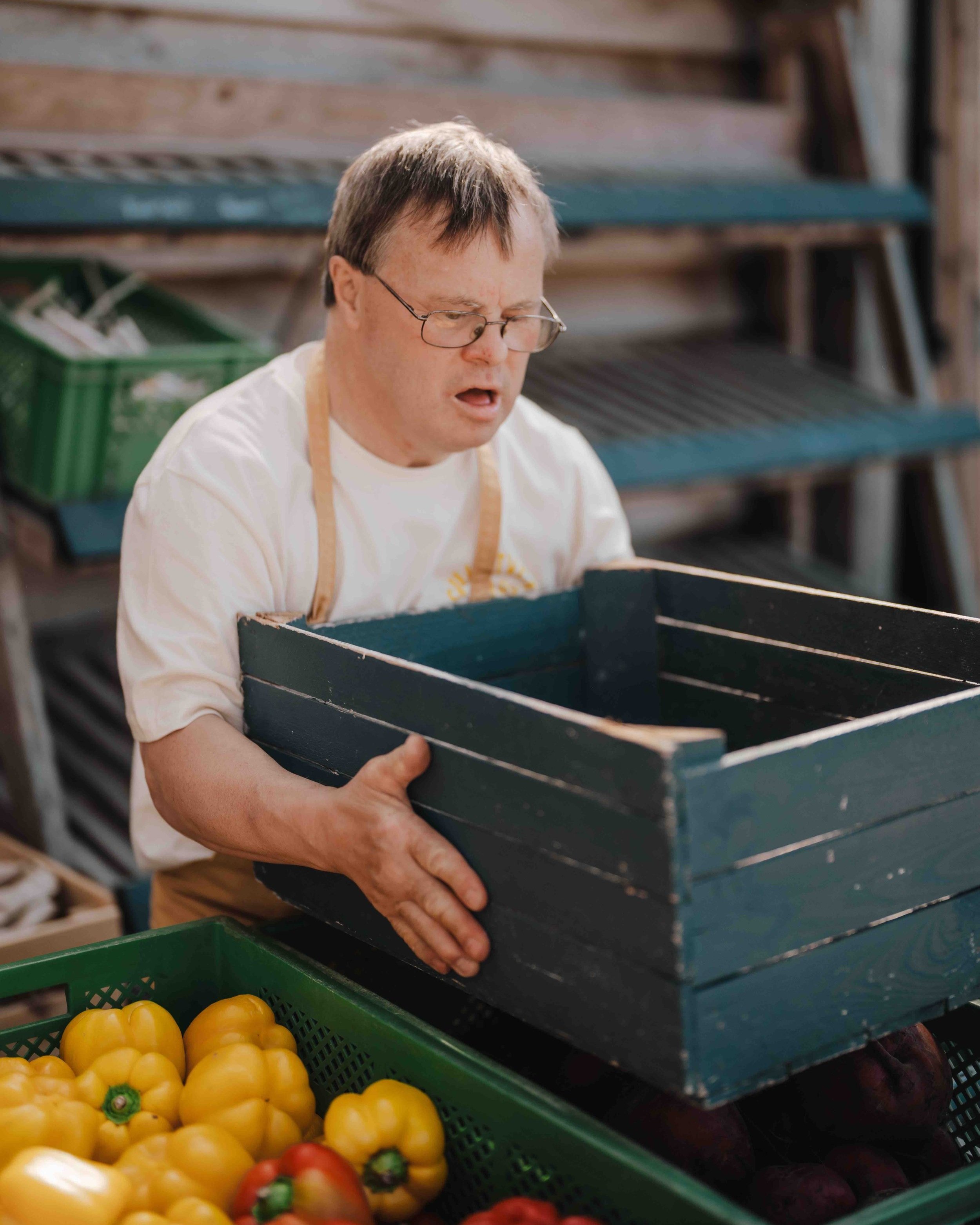 Fresh organic fruit and vegetables grown at Sturts Farm's market garden